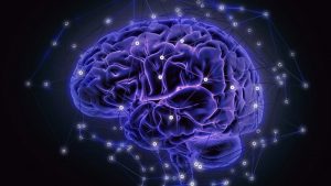 Terapia endovascular en Cuernavaca